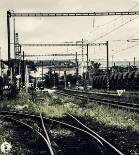 八一奥通车队2026年春节放假通知